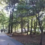 Piano Diva I Lux Relax * Kołobrzeg