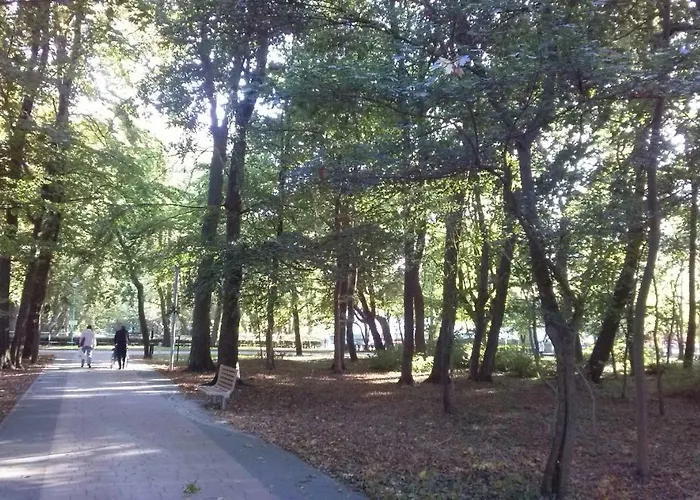 Piano Diva I Lux Relax * Kołobrzeg