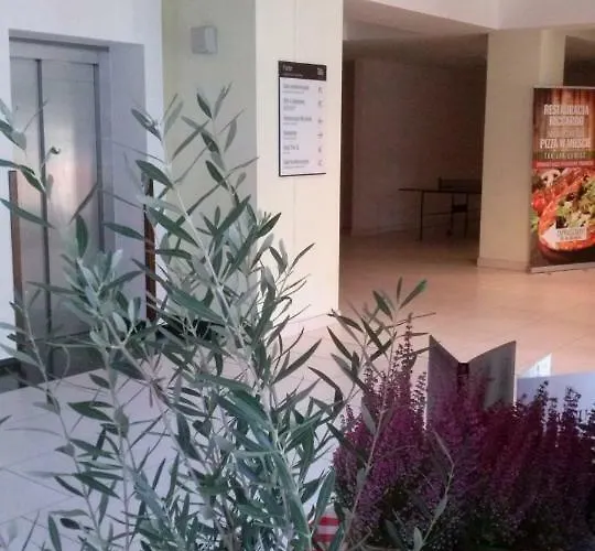 Piano Diva I Lux Relax * קולובז'ג